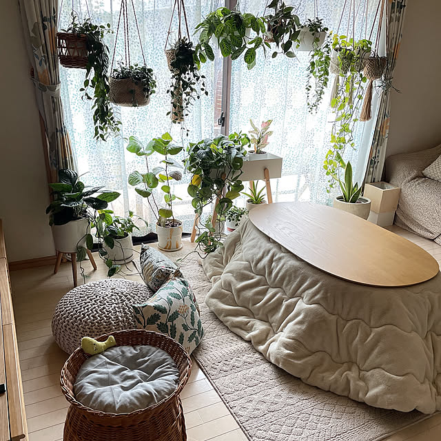 chinaさんの部屋