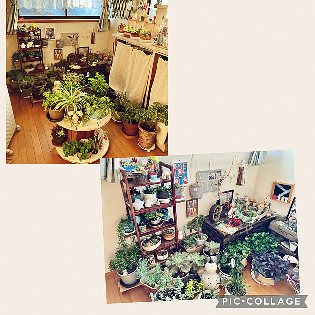 CoCo0617さんの実例写真
