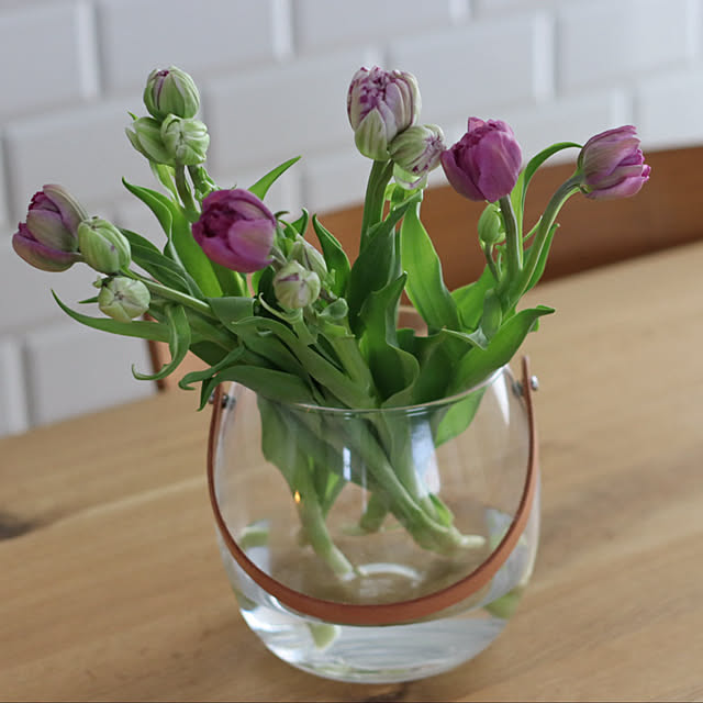 hanatomidorinoheyaさんの部屋