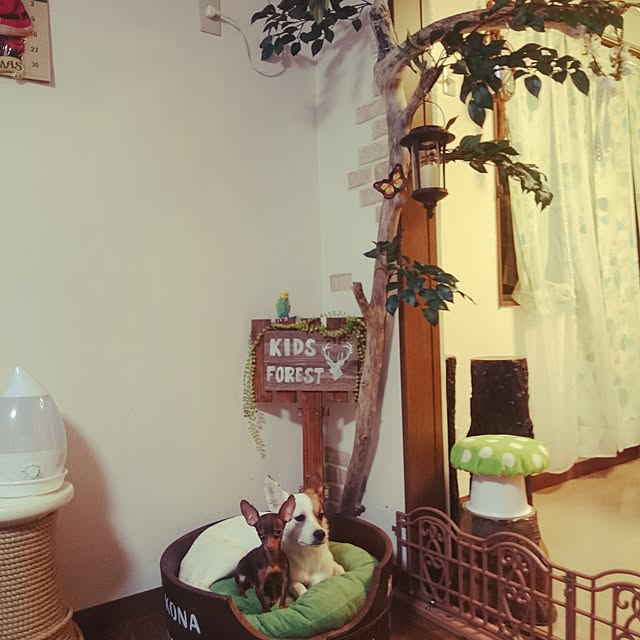 y-h-aさんの実例写真