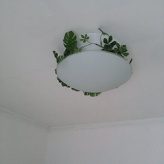 a-koさんの実例写真