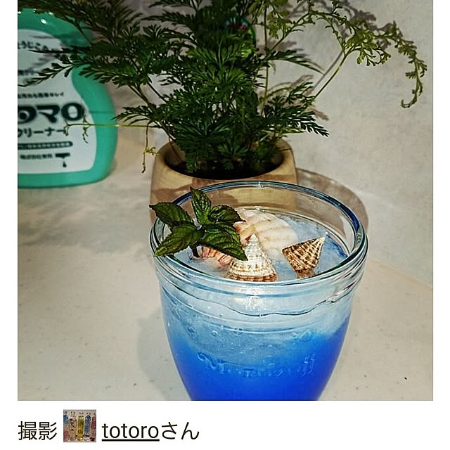 totoroさんの実例写真