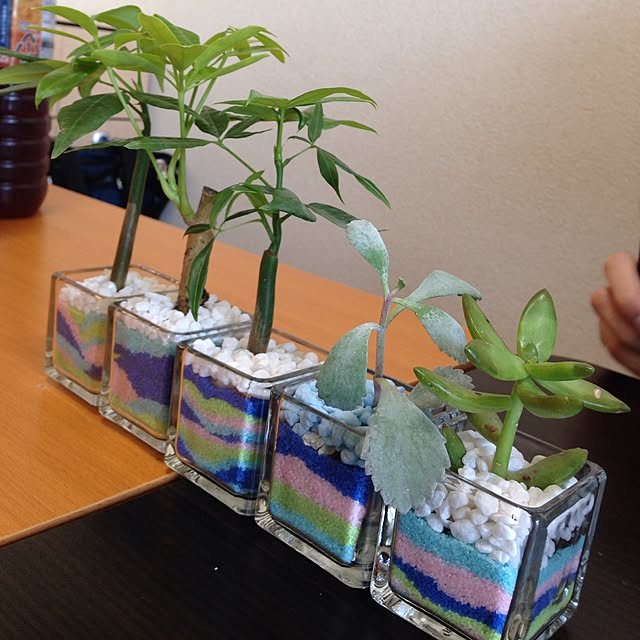Akihiroさんの実例写真