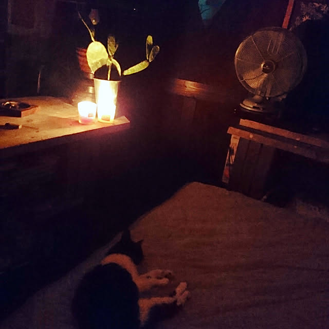 kajyuさんの実例写真