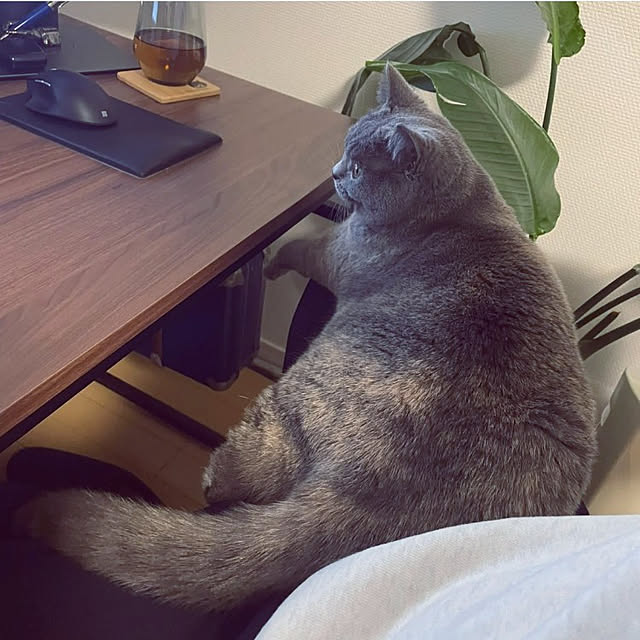 mamuさんの実例写真