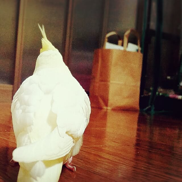 happinさんの実例写真