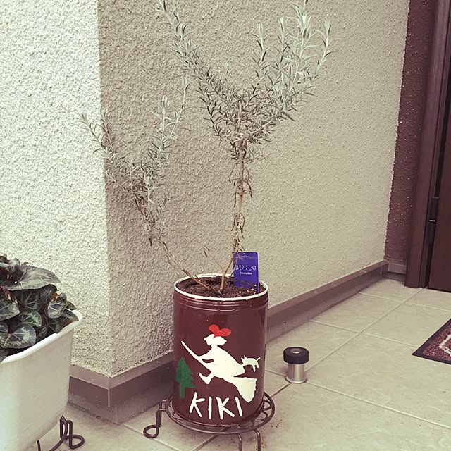 srsさんの実例写真