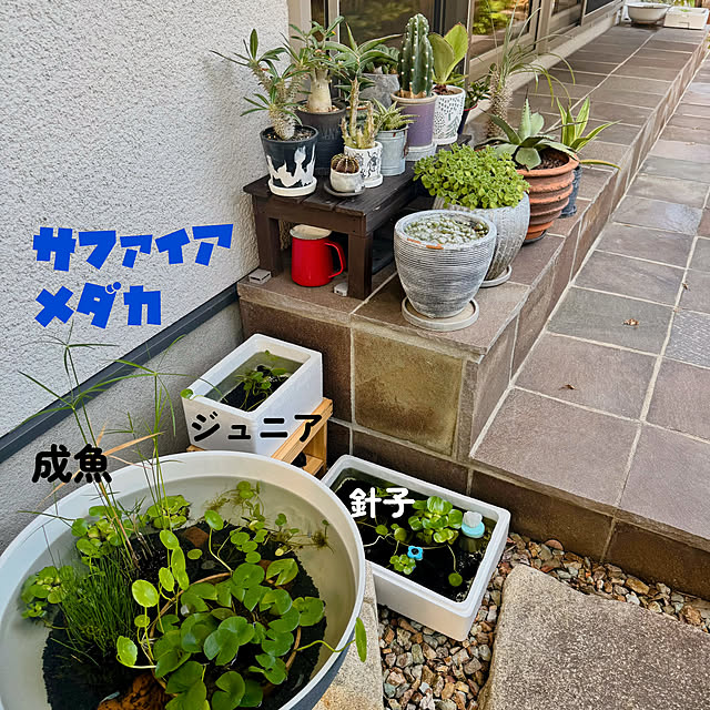 onsix777さんの部屋