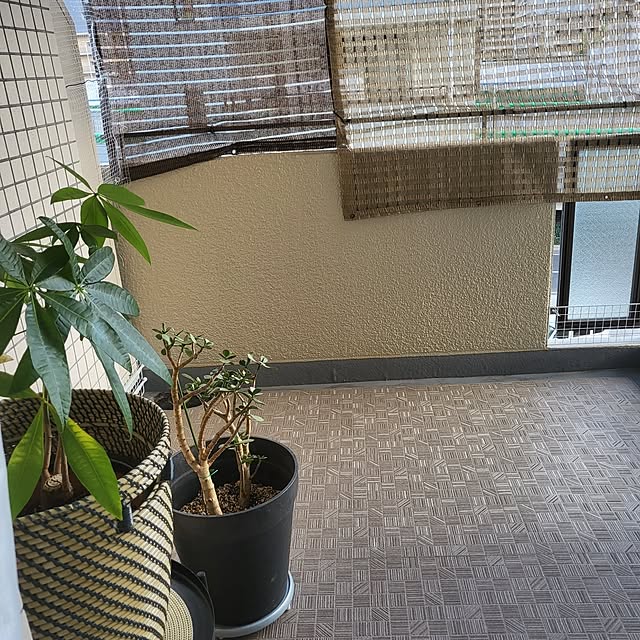 momoさんの部屋
