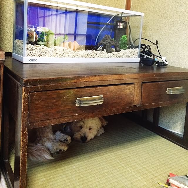 ichichiさんの実例写真