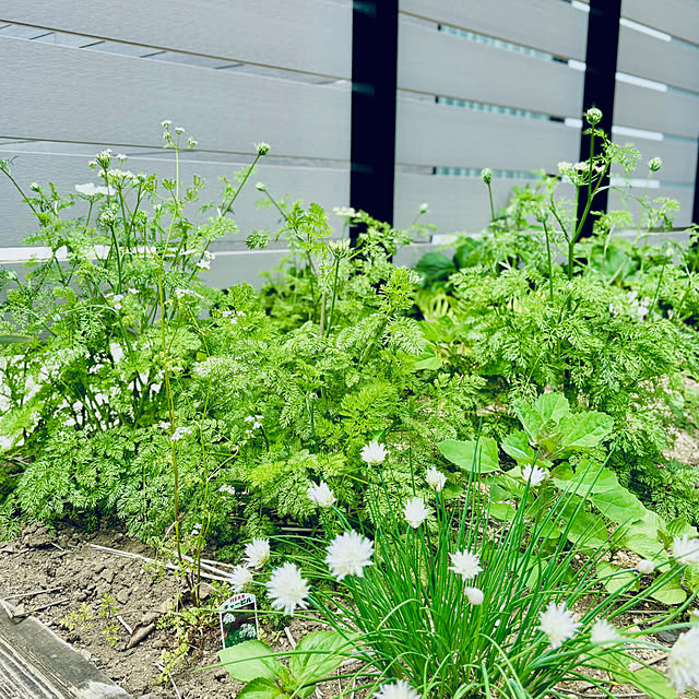 kurinokiさんの部屋