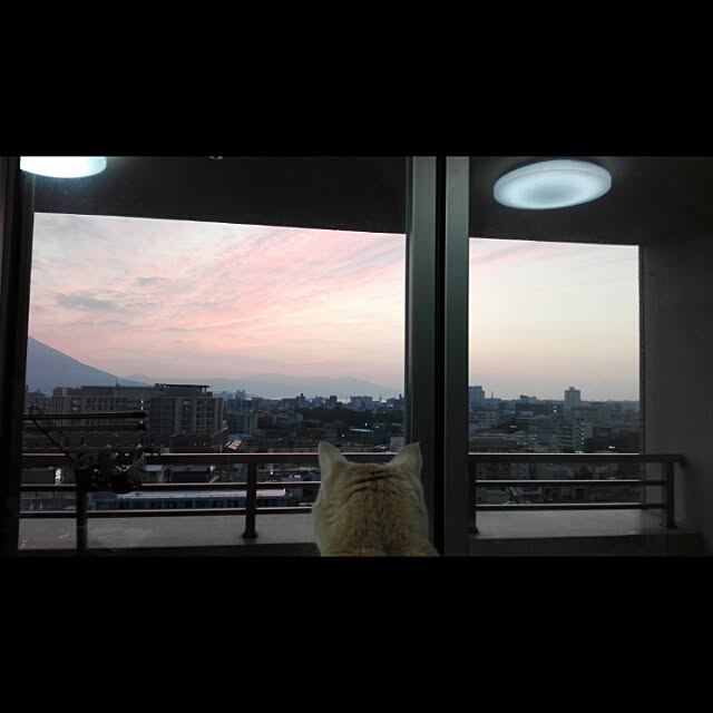 nana.maroさんの実例写真
