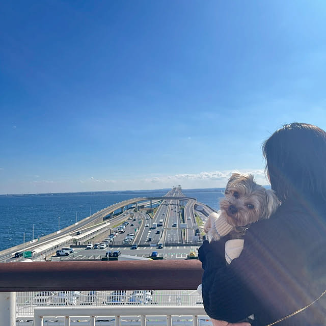 oceanさんの部屋