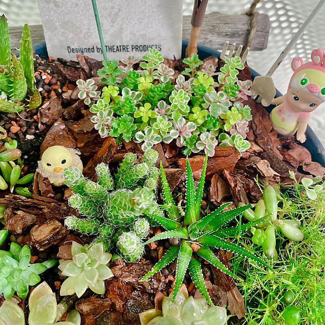 miyuさんの部屋