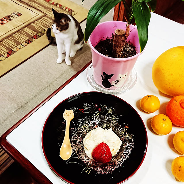 kikuさんの実例写真