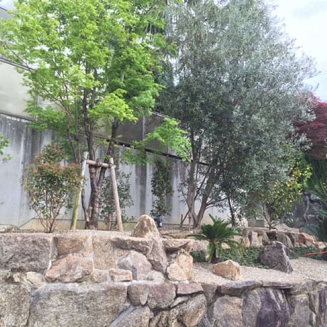 Akiraさんの実例写真