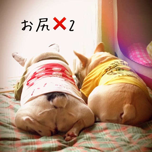 38coreさんの実例写真