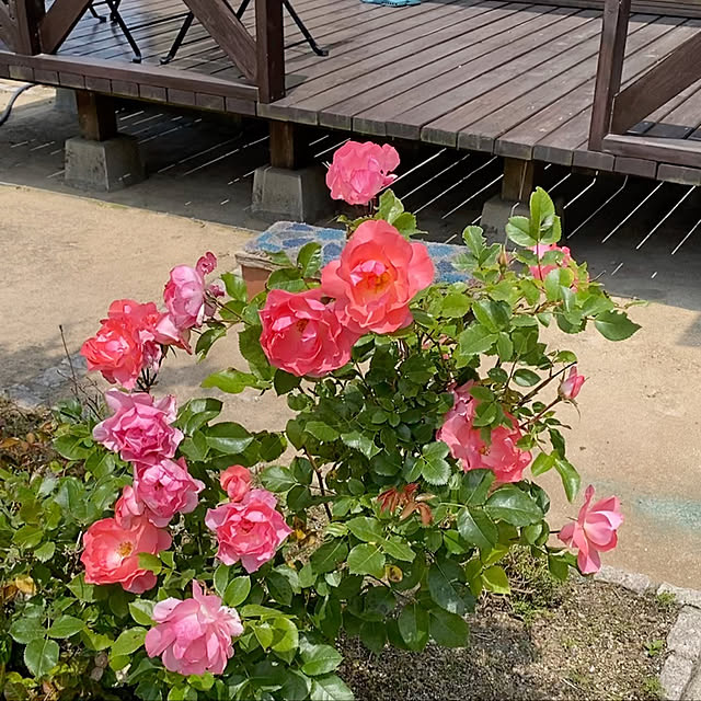 nanaさんの実例写真