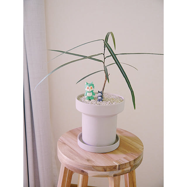 w_end_0625さんの実例写真