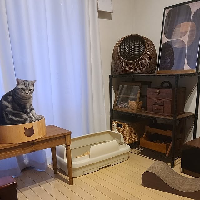 lovepeaceさんの実例写真