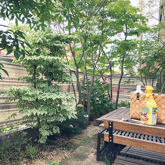 nikoさんの実例写真
