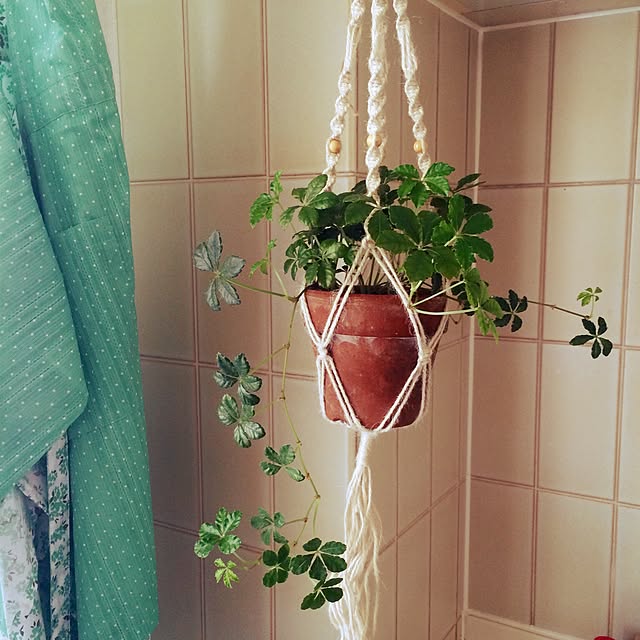 natucoさんの実例写真