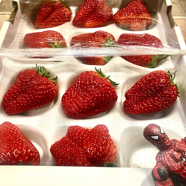 KUFFSさんの実例写真