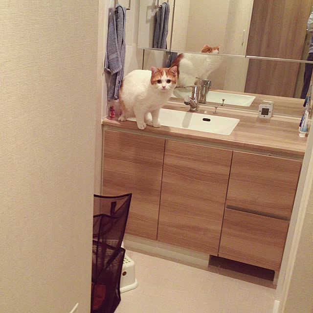 raehmamさんの実例写真