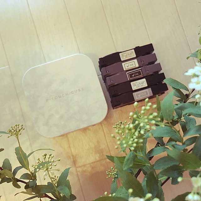 Asumiさんの実例写真