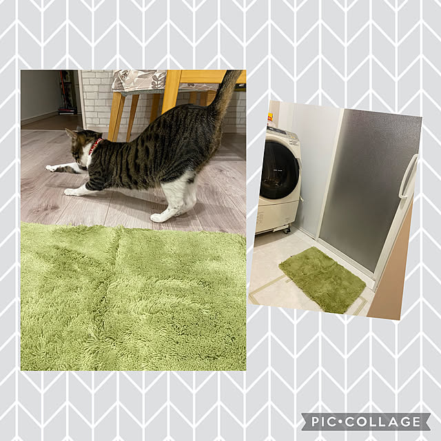 ippu0303Karinさんの実例写真