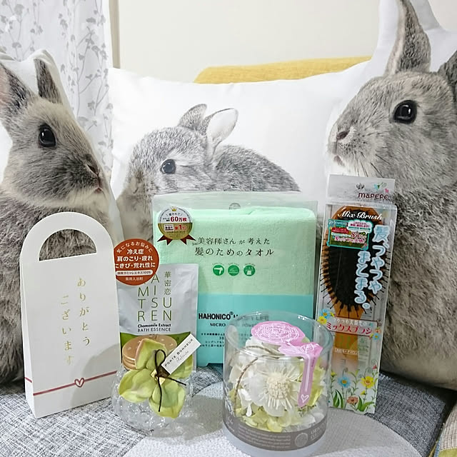 PAOさんの実例写真