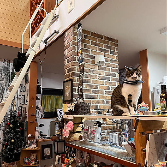 jijiさんの実例写真