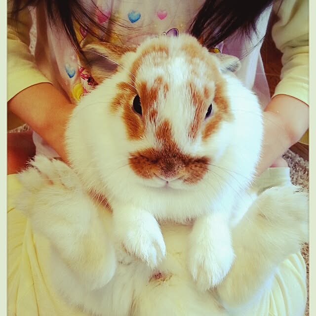 amamiさんの実例写真