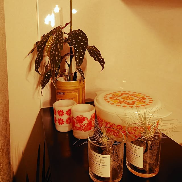 sonaさんの部屋