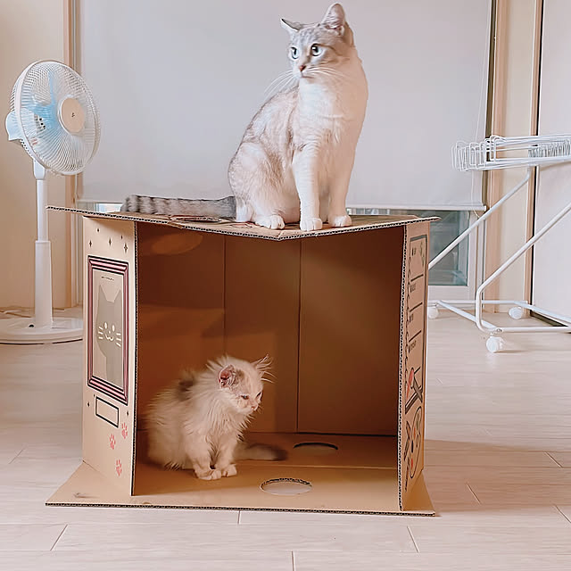 milkcocoaさんの部屋