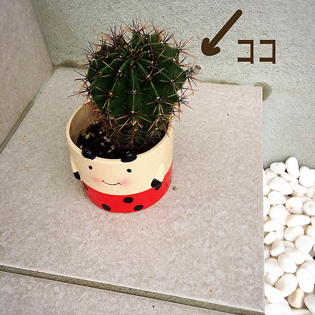 erinanaforさんの実例写真