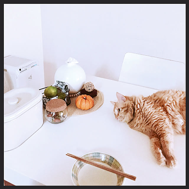 Ryokoさんの実例写真