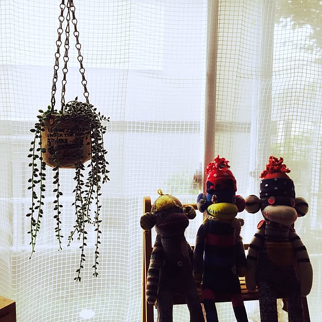 ume.さんの実例写真
