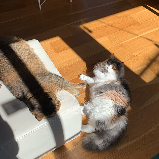 marikoさんの実例写真