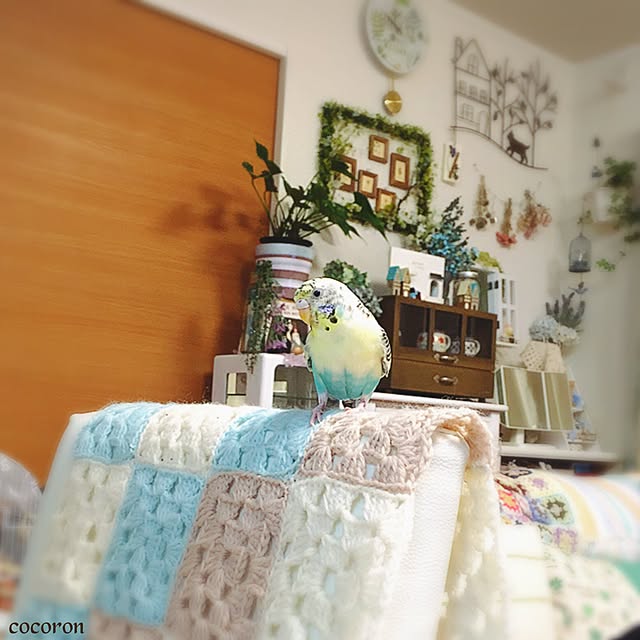 cocoronさんの実例写真
