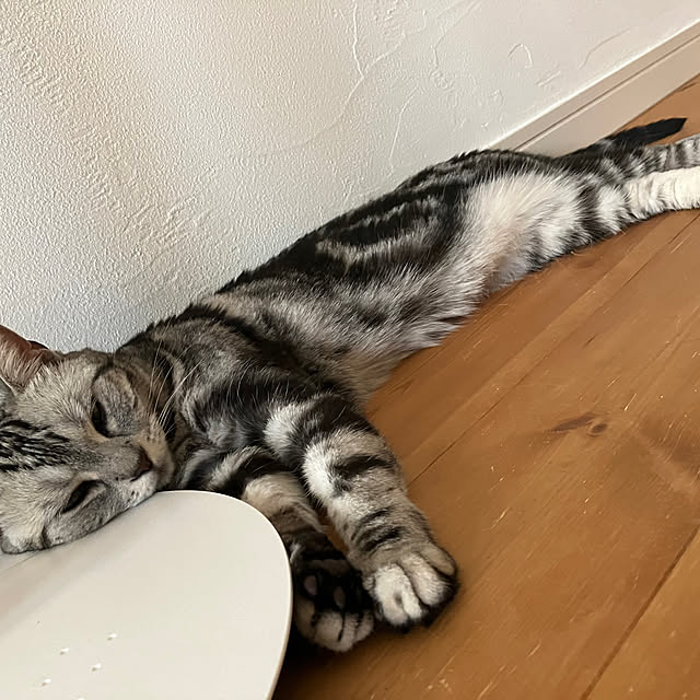 wahahaさんの実例写真