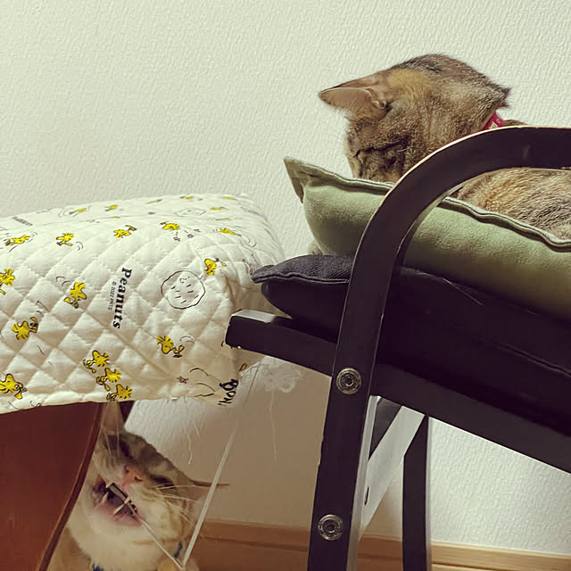 chiiさんの実例写真