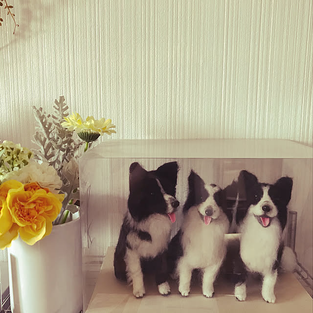 Caoluさんの実例写真