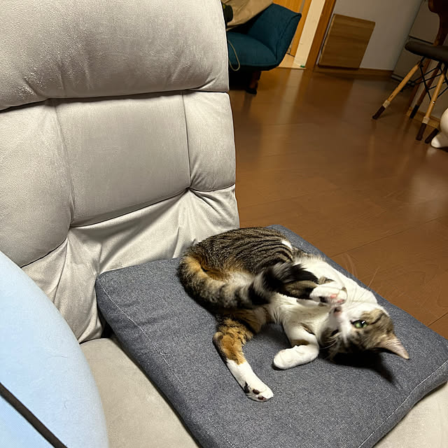 nacchi4さんの部屋