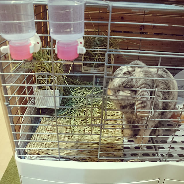 suzu.さんの実例写真
