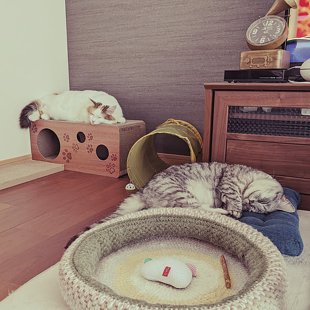 mewさんの実例写真