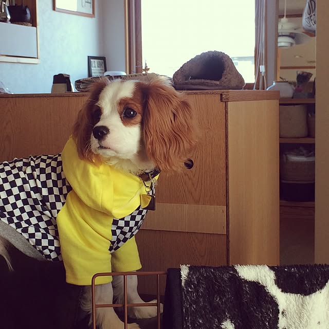 77さんの実例写真