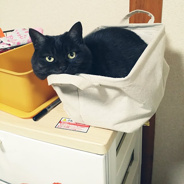 hana.1321jpさんの実例写真