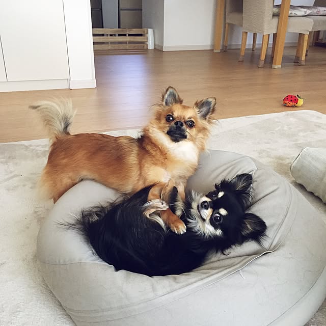 miyuさんの実例写真