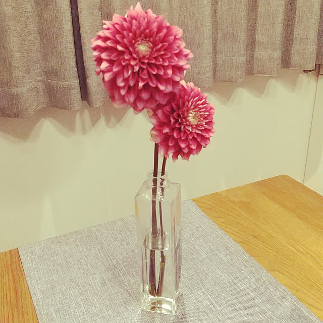 ayaさんの実例写真